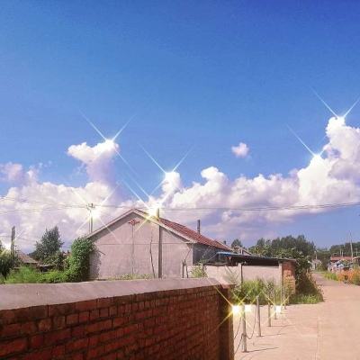 战与法之歌游戏